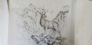 Red Stag 1