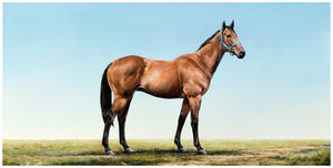 Horse 7