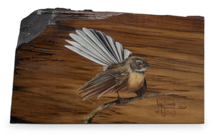 The Fantail (Pīwakawaka)