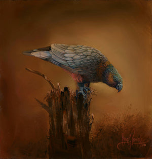 The Kākā (Framed)