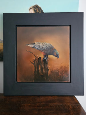 The Kākā (Framed)