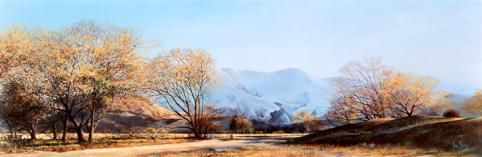 Roys Peninsula Wanaka