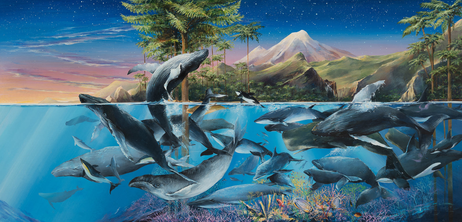 Whales At Play In The South Pacific